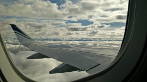The Flight Home